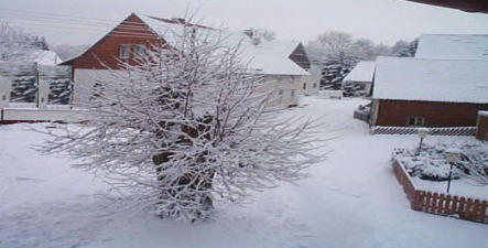 Winter 2001 / 2002